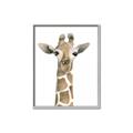 Picture of Giraffe Peekaboo _GroupedProduct_Rectangle_Portrait_Mini_ _GroupedProduct_Rectangle_Portrait_Canvas_Framed_