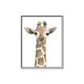 Picture of Giraffe Peekaboo _GroupedProduct_Rectangle_Portrait_Mini_ _GroupedProduct_Rectangle_Portrait_Canvas_Framed_