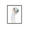 Picture of Ostrich Peekaboo _GroupedProduct_Rectangle_Portrait_Mini_ _GroupedProduct_Rectangle_Portrait_Canvas_Framed_