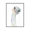 Picture of Ostrich Peekaboo _GroupedProduct_Rectangle_Portrait_Mini_ _GroupedProduct_Rectangle_Portrait_Canvas_Framed_