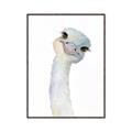 Picture of Ostrich Peekaboo _GroupedProduct_Rectangle_Portrait_Mini_ _GroupedProduct_Rectangle_Portrait_Canvas_Framed_