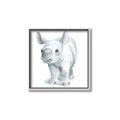 Picture of Tiny Rhino _GroupedProduct_Square_Mini_ _GroupedProduct_Square_Canvas_Framed_