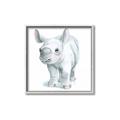 Picture of Tiny Rhino _GroupedProduct_Square_Mini_ _GroupedProduct_Square_Canvas_Framed_