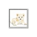 Picture of Tiny Lion _GroupedProduct_Square_Mini_ _GroupedProduct_Square_Canvas_Framed_