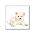 Picture of Tiny Lion _GroupedProduct_Square_Mini_ _GroupedProduct_Square_Canvas_Framed_