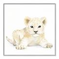 Picture of Tiny Lion _GroupedProduct_Square_Mini_ _GroupedProduct_Square_Canvas_Framed_