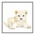 Picture of Tiny Lion _GroupedProduct_Square_Mini_ _GroupedProduct_Square_Canvas_Framed_
