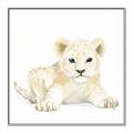 Picture of Tiny Lion _GroupedProduct_Square_Mini_ _GroupedProduct_Square_Canvas_Framed_
