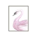 Picture of Pink Swan _GroupedProduct_Rectangle_Portrait_Mini_ _GroupedProduct_Rectangle_Portrait_Canvas_Framed_