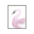 Picture of Pink Swan _GroupedProduct_Rectangle_Portrait_Mini_ _GroupedProduct_Rectangle_Portrait_Canvas_Framed_