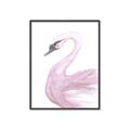 Picture of Pink Swan _GroupedProduct_Rectangle_Portrait_Mini_ _GroupedProduct_Rectangle_Portrait_Canvas_Framed_