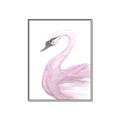 Picture of Pink Swan _GroupedProduct_Rectangle_Portrait_Mini_ _GroupedProduct_Rectangle_Portrait_Canvas_Framed_