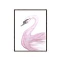 Picture of Pink Swan _GroupedProduct_Rectangle_Portrait_Mini_ _GroupedProduct_Rectangle_Portrait_Canvas_Framed_