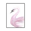 Picture of Pink Swan _GroupedProduct_Rectangle_Portrait_Mini_ _GroupedProduct_Rectangle_Portrait_Canvas_Framed_