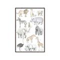 Picture of Zoo  Life _GroupedProduct_Rectangle_Portrait_Canvas_Framed_