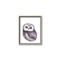 Picture of Little Farm Owl _GroupedProduct_Rectangle_Portrait_Mini_ _GroupedProduct_Rectangle_Portrait_Canvas_Framed_