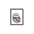 Picture of Little Farm Owl _GroupedProduct_Rectangle_Portrait_Mini_ _GroupedProduct_Rectangle_Portrait_Canvas_Framed_