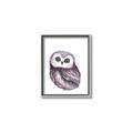 Picture of Little Farm Owl _GroupedProduct_Rectangle_Portrait_Mini_ _GroupedProduct_Rectangle_Portrait_Canvas_Framed_