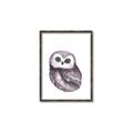 Picture of Little Farm Owl _GroupedProduct_Rectangle_Portrait_Mini_ _GroupedProduct_Rectangle_Portrait_Canvas_Framed_