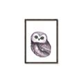 Picture of Little Farm Owl _GroupedProduct_Rectangle_Portrait_Mini_ _GroupedProduct_Rectangle_Portrait_Canvas_Framed_