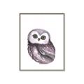 Picture of Little Farm Owl _GroupedProduct_Rectangle_Portrait_Mini_ _GroupedProduct_Rectangle_Portrait_Canvas_Framed_