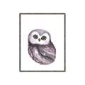 Picture of Little Farm Owl _GroupedProduct_Rectangle_Portrait_Mini_ _GroupedProduct_Rectangle_Portrait_Canvas_Framed_