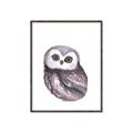 Picture of Little Farm Owl _GroupedProduct_Rectangle_Portrait_Mini_ _GroupedProduct_Rectangle_Portrait_Canvas_Framed_