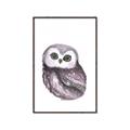 Picture of Little Farm Owl _GroupedProduct_Rectangle_Portrait_Mini_ _GroupedProduct_Rectangle_Portrait_Canvas_Framed_