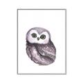 Picture of Little Farm Owl _GroupedProduct_Rectangle_Portrait_Mini_ _GroupedProduct_Rectangle_Portrait_Canvas_Framed_