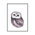 Picture of Little Farm Owl _GroupedProduct_Rectangle_Portrait_Mini_ _GroupedProduct_Rectangle_Portrait_Canvas_Framed_