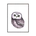 Picture of Little Farm Owl _GroupedProduct_Rectangle_Portrait_Mini_ _GroupedProduct_Rectangle_Portrait_Canvas_Framed_