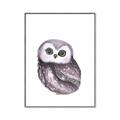 Picture of Little Farm Owl _GroupedProduct_Rectangle_Portrait_Mini_ _GroupedProduct_Rectangle_Portrait_Canvas_Framed_