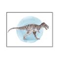 Picture of T-Rex _GroupedProduct_Rectangle_Landscape_Mini_ _GroupedProduct_Rectangle_Landscape_Canvas_Framed_