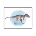 Picture of T-Rex _GroupedProduct_Rectangle_Landscape_Mini_ _GroupedProduct_Rectangle_Landscape_Canvas_Framed_