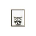 Picture of Coon Baby _GroupedProduct_Rectangle_Portrait_Mini_ _GroupedProduct_Rectangle_Portrait_Canvas_Framed_
