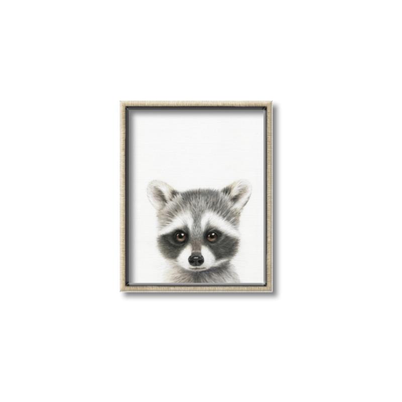 Picture of Coon Baby _GroupedProduct_Rectangle_Portrait_Mini_ _GroupedProduct_Rectangle_Portrait_Canvas_Framed_