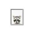 Picture of Coon Baby _GroupedProduct_Rectangle_Portrait_Mini_ _GroupedProduct_Rectangle_Portrait_Canvas_Framed_
