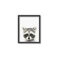Picture of Coon Baby _GroupedProduct_Rectangle_Portrait_Mini_ _GroupedProduct_Rectangle_Portrait_Canvas_Framed_
