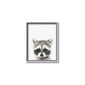 Picture of Coon Baby _GroupedProduct_Rectangle_Portrait_Mini_ _GroupedProduct_Rectangle_Portrait_Canvas_Framed_