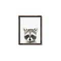 Picture of Coon Baby _GroupedProduct_Rectangle_Portrait_Mini_ _GroupedProduct_Rectangle_Portrait_Canvas_Framed_