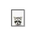 Picture of Coon Baby _GroupedProduct_Rectangle_Portrait_Mini_ _GroupedProduct_Rectangle_Portrait_Canvas_Framed_