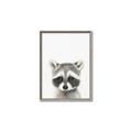 Picture of Coon Baby _GroupedProduct_Rectangle_Portrait_Mini_ _GroupedProduct_Rectangle_Portrait_Canvas_Framed_