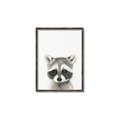 Picture of Coon Baby _GroupedProduct_Rectangle_Portrait_Mini_ _GroupedProduct_Rectangle_Portrait_Canvas_Framed_
