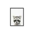 Picture of Coon Baby _GroupedProduct_Rectangle_Portrait_Mini_ _GroupedProduct_Rectangle_Portrait_Canvas_Framed_