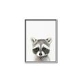 Picture of Coon Baby _GroupedProduct_Rectangle_Portrait_Mini_ _GroupedProduct_Rectangle_Portrait_Canvas_Framed_