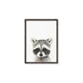 Picture of Coon Baby _GroupedProduct_Rectangle_Portrait_Mini_ _GroupedProduct_Rectangle_Portrait_Canvas_Framed_