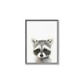 Picture of Coon Baby _GroupedProduct_Rectangle_Portrait_Mini_ _GroupedProduct_Rectangle_Portrait_Canvas_Framed_