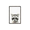 Picture of Coon Baby _GroupedProduct_Rectangle_Portrait_Mini_ _GroupedProduct_Rectangle_Portrait_Canvas_Framed_
