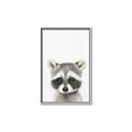 Picture of Coon Baby _GroupedProduct_Rectangle_Portrait_Mini_ _GroupedProduct_Rectangle_Portrait_Canvas_Framed_
