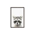Picture of Coon Baby _GroupedProduct_Rectangle_Portrait_Mini_ _GroupedProduct_Rectangle_Portrait_Canvas_Framed_
